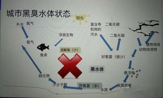 江蘇億元投資治污新技術(shù) 石墨烯能否治理黑臭水體？