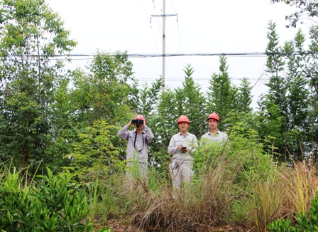 國網(wǎng)江永縣供電公司:負(fù)責(zé)人帶隊巡線，精施策護(hù)網(wǎng)保電