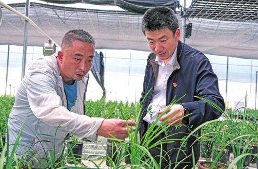 唐寶:真誠真情真扶貧