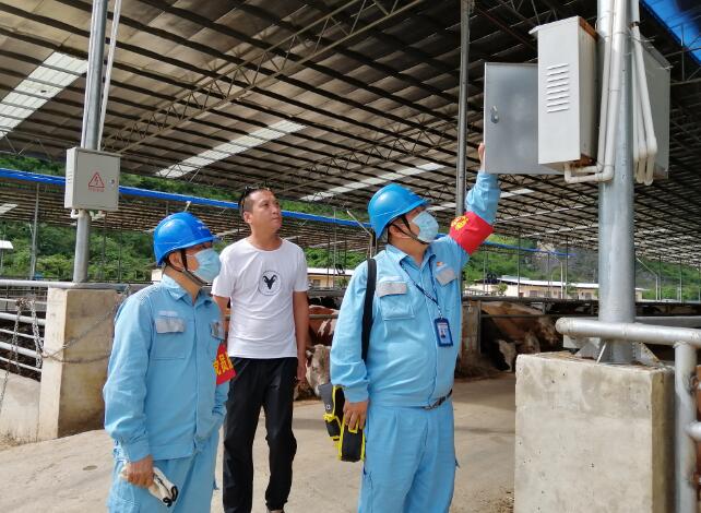 廣西寧明供電公司優(yōu)質(zhì)電力助力養(yǎng)殖事業(yè)越來越“?！? width=