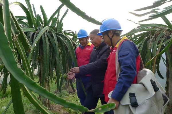 國網(wǎng)寧?？h供電公司：“電力紅馬甲”護(hù)航，退役軍人鄉(xiāng)村創(chuàng)業(yè)“紅如火”