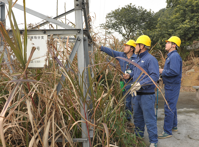 國網慈溪市供電公司排兵布陣打響“迎峰度冬”攻堅戰(zhàn)