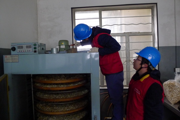 國(guó)網(wǎng)寧?？h供電公司：電力紅馬甲服務(wù)鄉(xiāng)村企業(yè) ，讓黃精變“黃金”