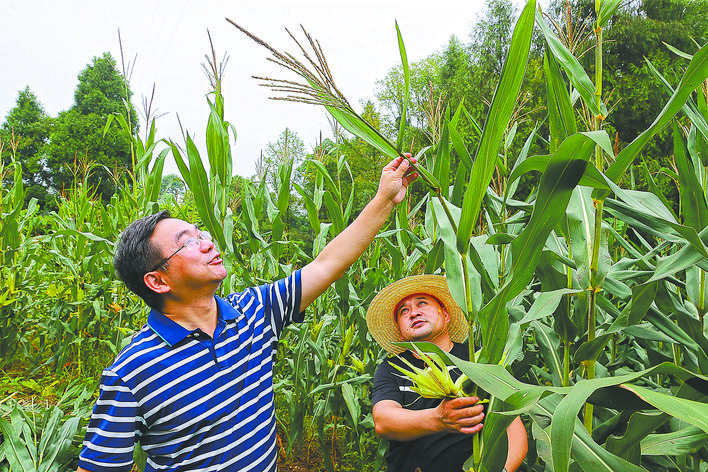 【全國脫貧攻堅先進個人】黃丹松:一片丹心為扶貧