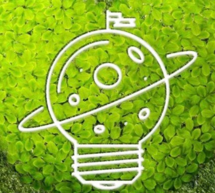 碳排放市場上線兩周后 “碳價”怎么樣了？