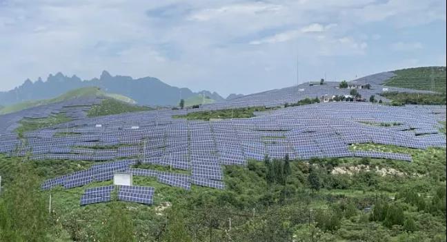 少長一棵草，多發(fā)一度電，助力碳中和