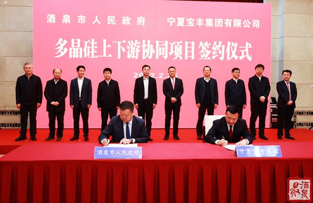 寶豐集團(tuán)擬在寧夏建設(shè)35萬(wàn)噸工業(yè)硅、30萬(wàn)噸多晶硅、50GW拉晶切片、30GW電池組件