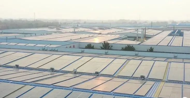 投資達(dá)9億！山東寒亭區(qū)447MW整縣分布式光伏項(xiàng)目正式啟動(dòng)