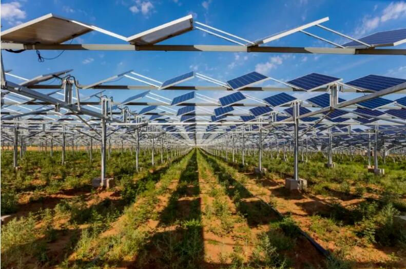 光伏治沙+風(fēng)光大基地，寧夏“走出”生態(tài)保護和高質(zhì)量發(fā)展新道路