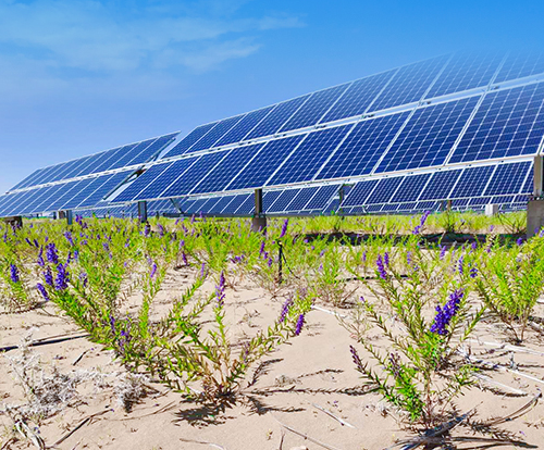光伏治沙+風(fēng)光大基地，寧夏“走出”生態(tài)保護和高質(zhì)量發(fā)展新道路