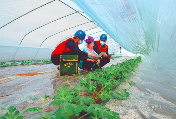 上門(mén)服務(wù)，瓜甜心更甜