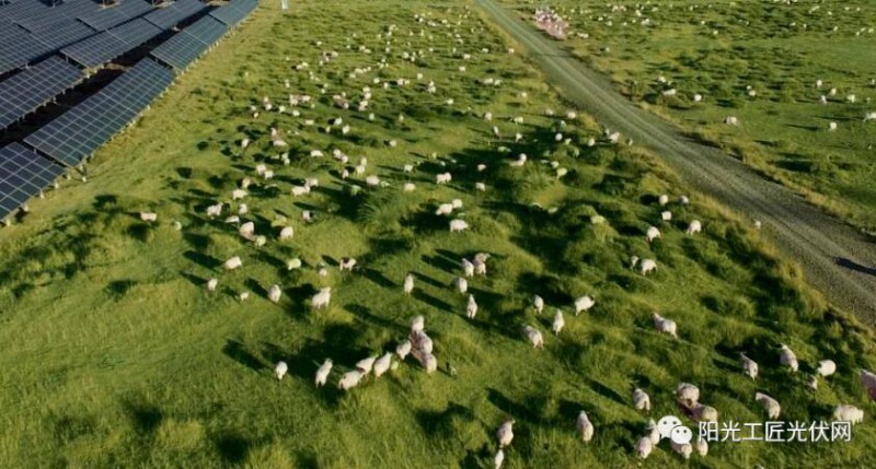 面積接近一個新加坡！青海塔拉灘光伏電站照亮“陽光之路”