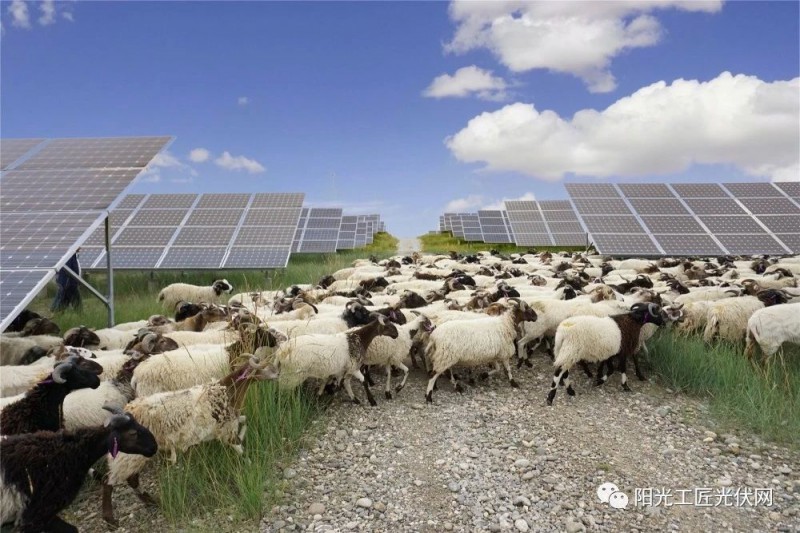 面積接近一個新加坡！青海塔拉灘光伏電站照亮“陽光之路”