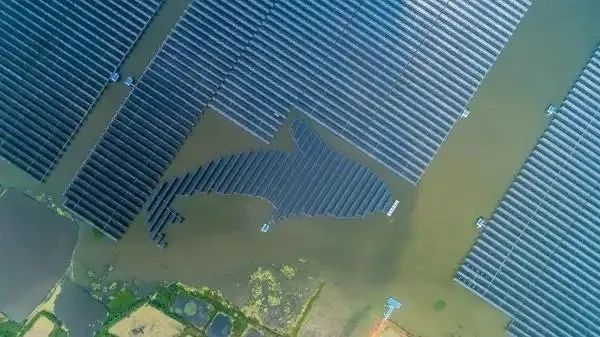 泗洪1000MW光伏領跑者項目被勒令拆除整改！