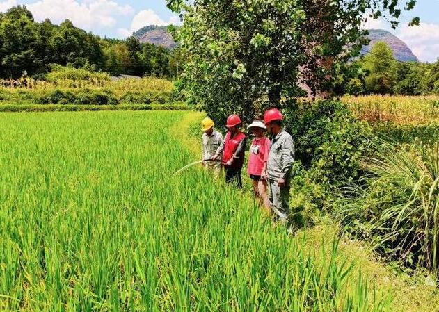 國網(wǎng)沅陵縣供電公司:抗旱保電 為農(nóng)田“解渴”