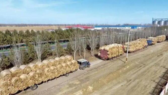 內(nèi)蒙古超40萬千瓦農(nóng)林生物質發(fā)電項目納入發(fā)展規(guī)劃