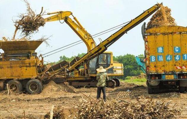 海南省?？诙嗯e措推進秸稈等農(nóng)林廢棄物綜合利用
