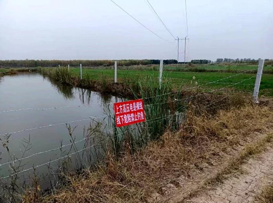 國(guó)網(wǎng)濟(jì)寧供電公司治理垂釣隱患，保電網(wǎng)安全運(yùn)行