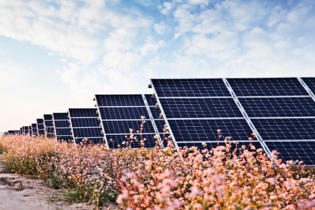 華能“嘗鮮”，攜隆基綠能打造高性價比光伏電站