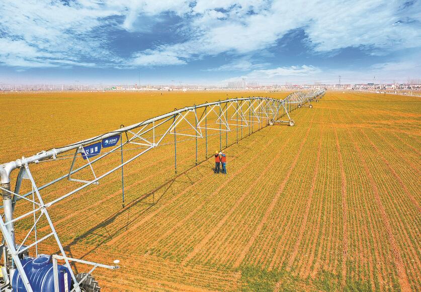 河南省虞城縣:充足電力作保障 灌溉方便又智能