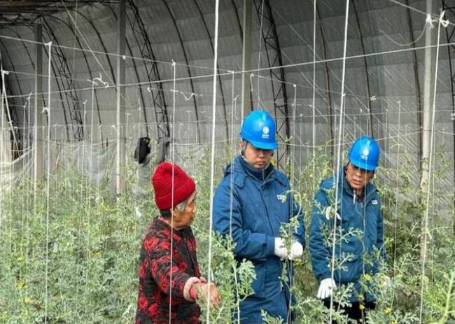山東惠民供電公司:走訪種植大棚,優(yōu)化農(nóng)業(yè)營商環(huán)境