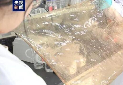 國(guó)產(chǎn)新型離子膜問世，有望在新能源的儲(chǔ)能領(lǐng)域廣泛應(yīng)用