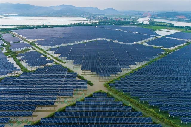 水上發(fā)電，水下養(yǎng)魚!黃石“漁光互補(bǔ)”綠色興農(nóng)