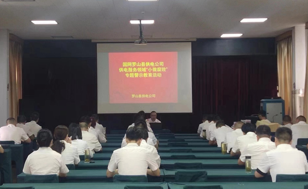 國網(wǎng)羅山縣供電公司:開展警示教育 預(yù)防“小微腐敗”