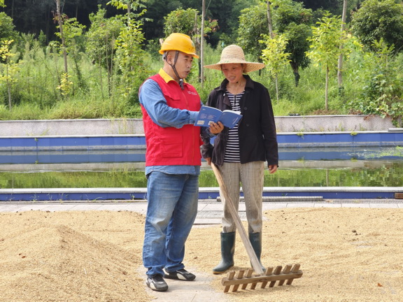 國網(wǎng)衢州供電公司紅船服務(wù)“零距離”電助水稻“喜豐收”