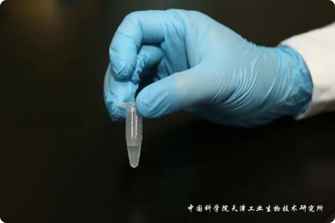 二氧化碳“變身”糖，中國科學(xué)家實現(xiàn)重大突破!