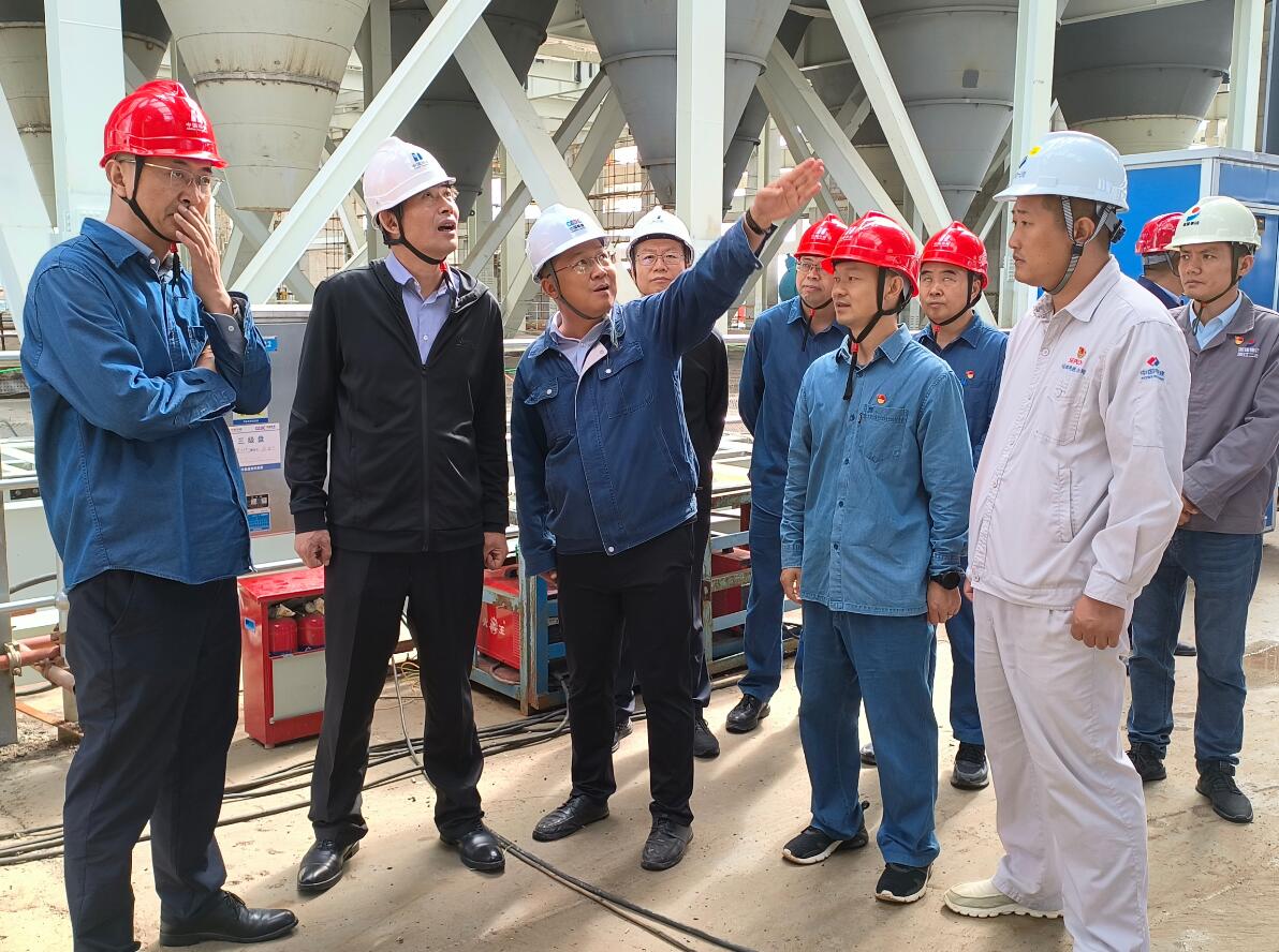 華能甘肅公司黨委書記、董事長(zhǎng)張東輝到正寧百萬項(xiàng)目檢查指導(dǎo)