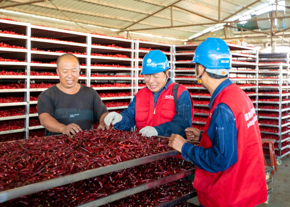 河南滑縣:“電力十足”保豐收