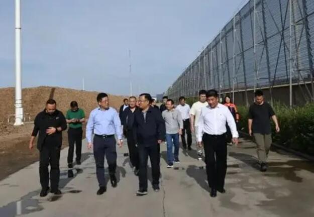 內(nèi)蒙古專項(xiàng)督查組蒞臨龍基生物質(zhì)熱電項(xiàng)目考察，助力鄉(xiāng)村振興發(fā)展