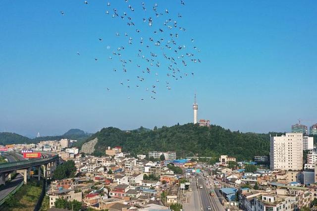 日“吞”垃圾500噸，年“吐”電能超億度!清鎮(zhèn)市首個生活垃圾焚燒發(fā)電項目并網(wǎng)發(fā)電