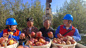 國(guó)網(wǎng)鹽源縣供電公司:“電管家”助力糖心蘋(píng)果豐收