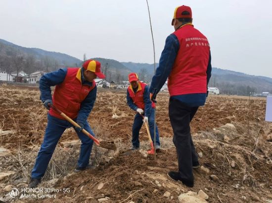國(guó)網(wǎng)洛南縣公司“紅馬甲”義務(wù)植樹(shù) 為康養(yǎng)洛南添新綠