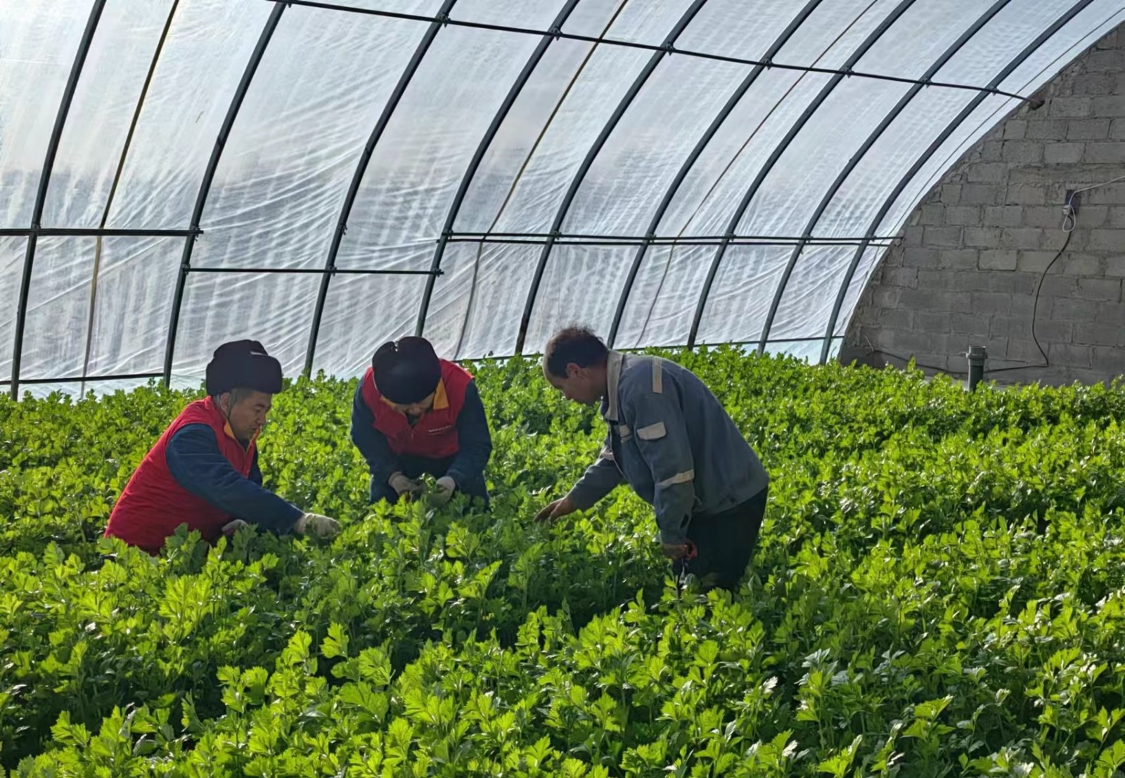 國(guó)網(wǎng)西和縣供電公司:聚焦機(jī)井電力設(shè)施排查 筑牢農(nóng)業(yè)安全生產(chǎn)防線