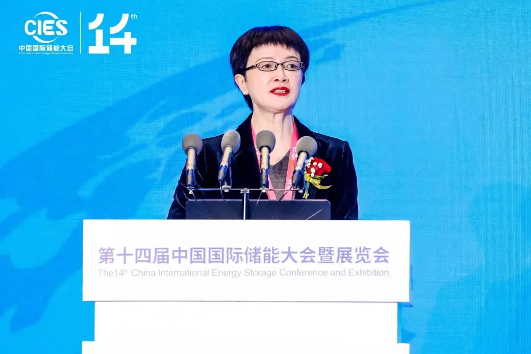 國家能源局科技司原副司長劉亞芳:大量已建成新型儲(chǔ)能項(xiàng)目調(diào)用率有待提升