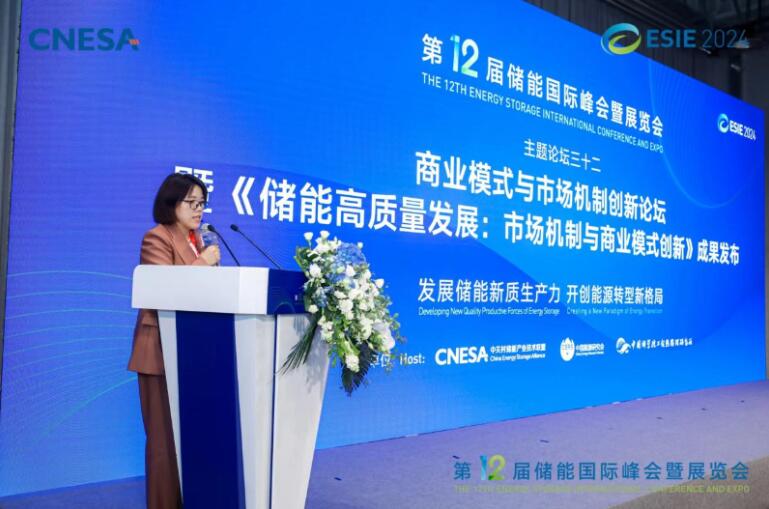 《儲能高質(zhì)量發(fā)展:市場機制與商業(yè)模式創(chuàng)新》正式發(fā)布