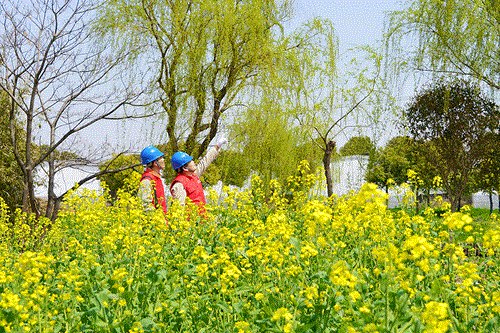 國(guó)網(wǎng)太倉(cāng)市供電公司：電力賦能農(nóng)文旅，五一出游“零碳”行