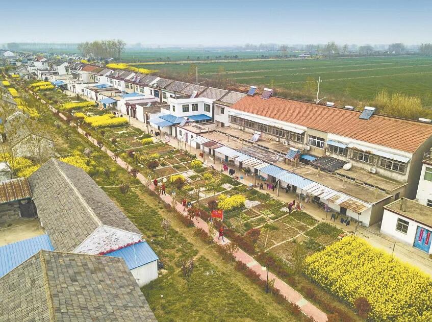 江蘇淮安大鸞共產(chǎn)黨員服務(wù)隊:提質(zhì)鄉(xiāng)村服務(wù) 心系萬家光明