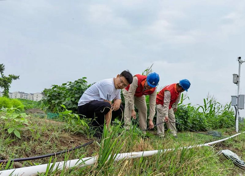國(guó)網(wǎng)江蘇電力睢寧縣供電公司:電力護(hù)航不誤農(nóng)時(shí)