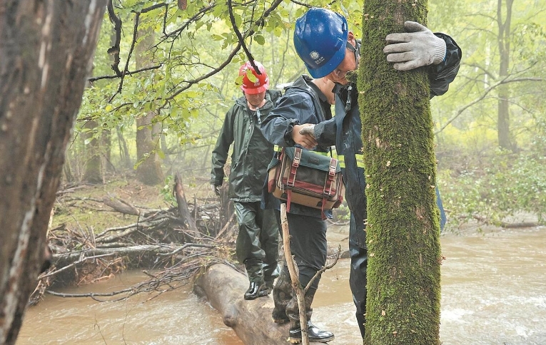 國(guó)網(wǎng)吉林電力:吉林受強(qiáng)降雨影響區(qū)域已全部恢復(fù)供電