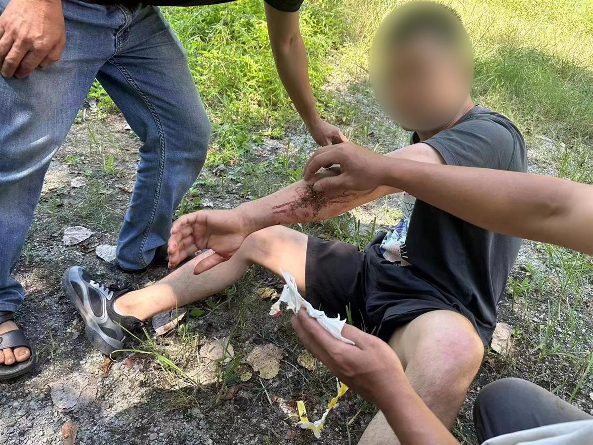 男子私設(shè)電網(wǎng)30余米，沒捕獲獵物卻電傷路人被刑拘