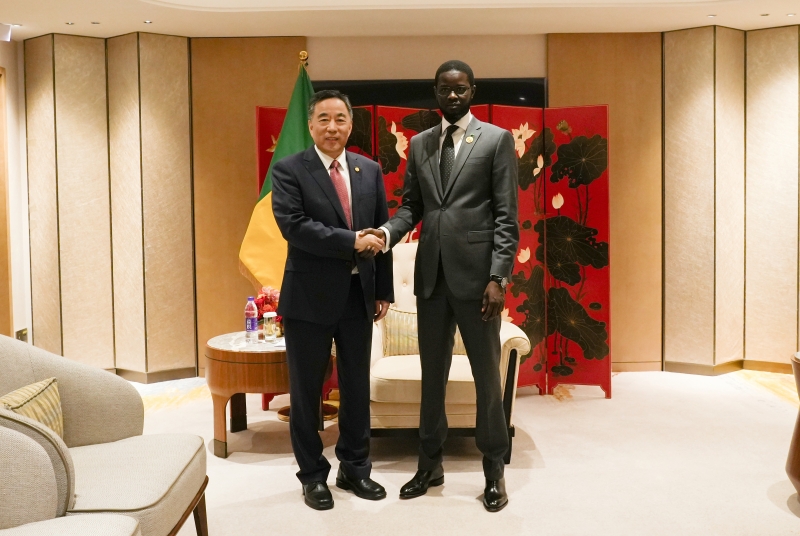 中國(guó)能建黨委書記、董事長(zhǎng)宋海良拜會(huì)塞內(nèi)加爾總統(tǒng)法耶