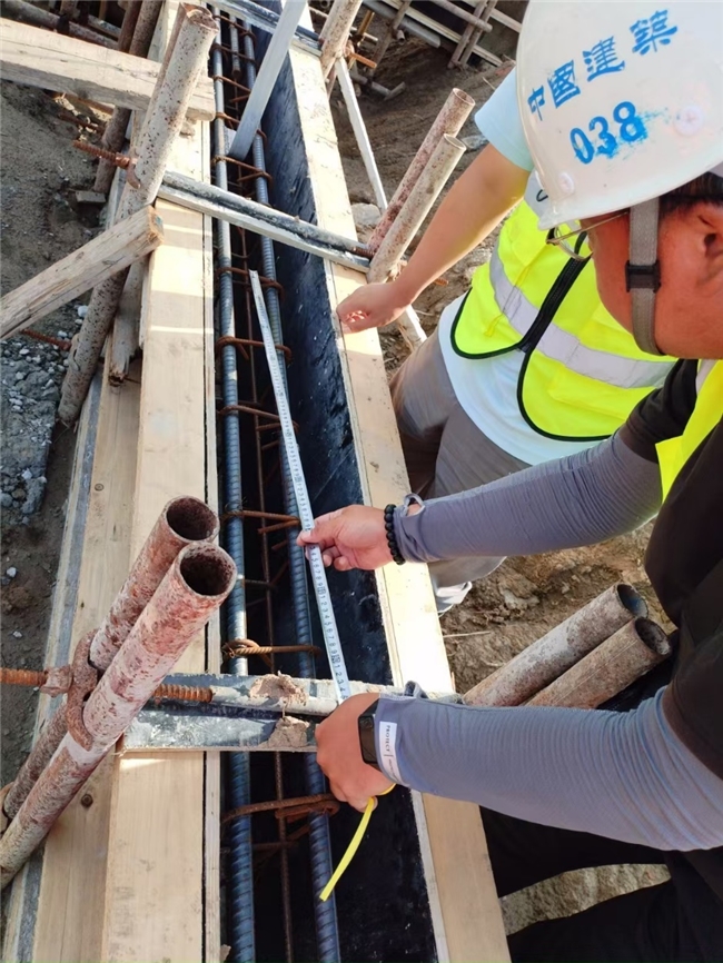 黨員先鋒展風采，鑄就工程新樣板