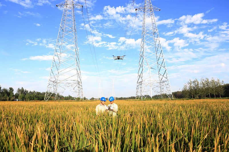 國網(wǎng)江蘇電力睢寧縣供電公司:無人機巡檢 筑牢電網(wǎng)安全