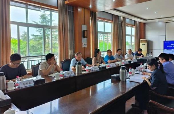 “氫”裝上陣，自貢市加快推動氫能全產(chǎn)業(yè)鏈發(fā)展