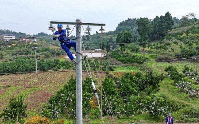 四川眉山升級改造電網助力柑橘產業(yè)結“致富果”