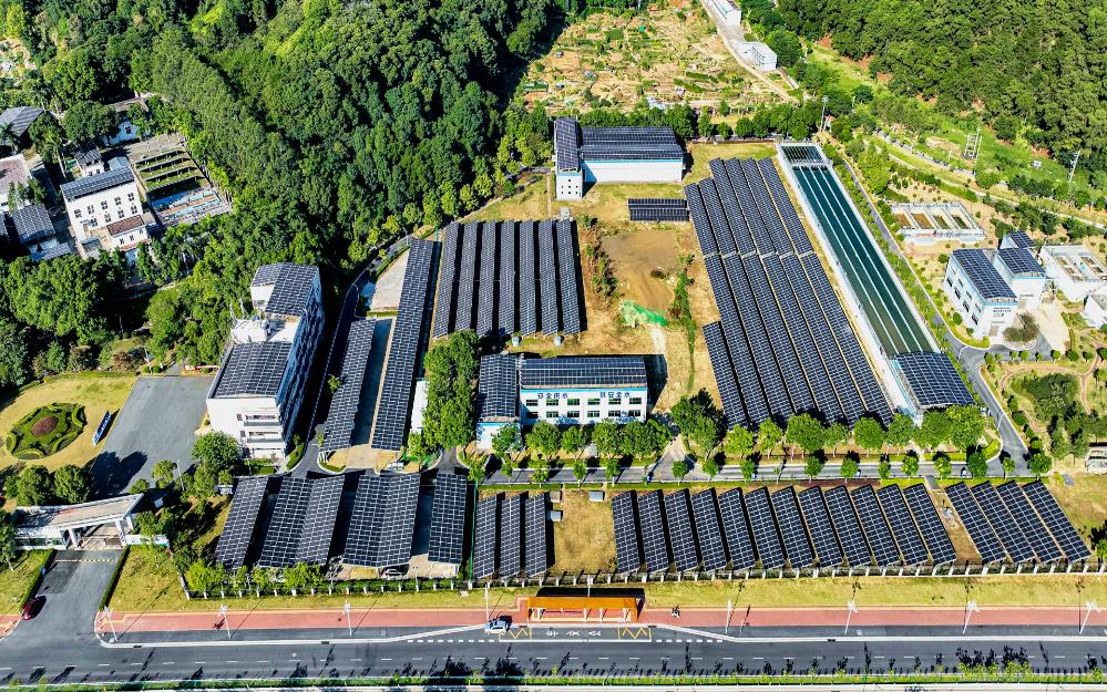 追“新”逐“綠” 粵?？毓杉瘓F走實走好綠色低碳轉型高質量發(fā)展道路